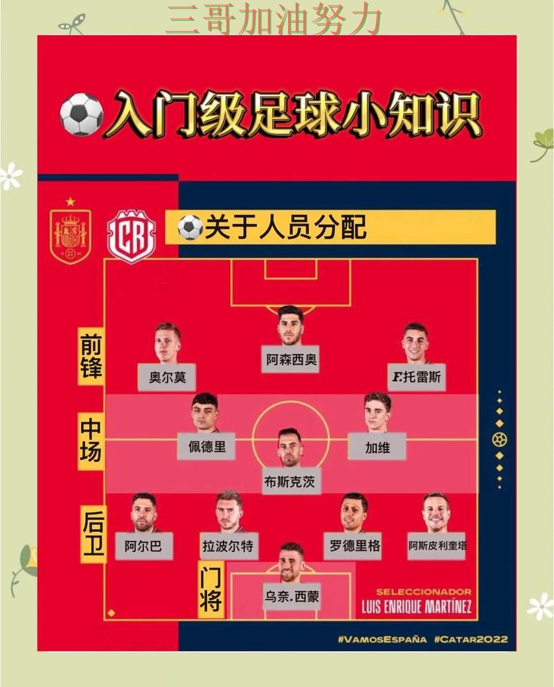 世界杯竞猜如何操作如何选？结合避坑指南一次讲透（世界杯官方信息）